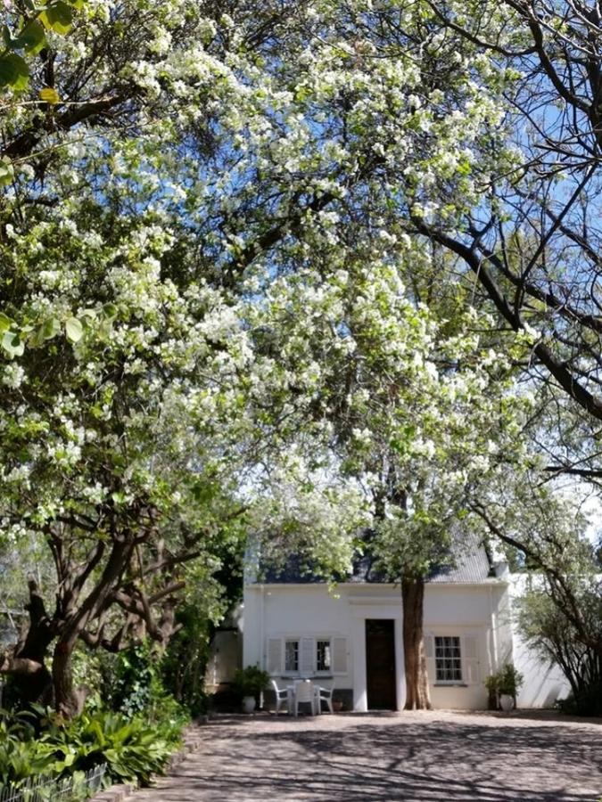Little Green World Beaufort West Esterno foto