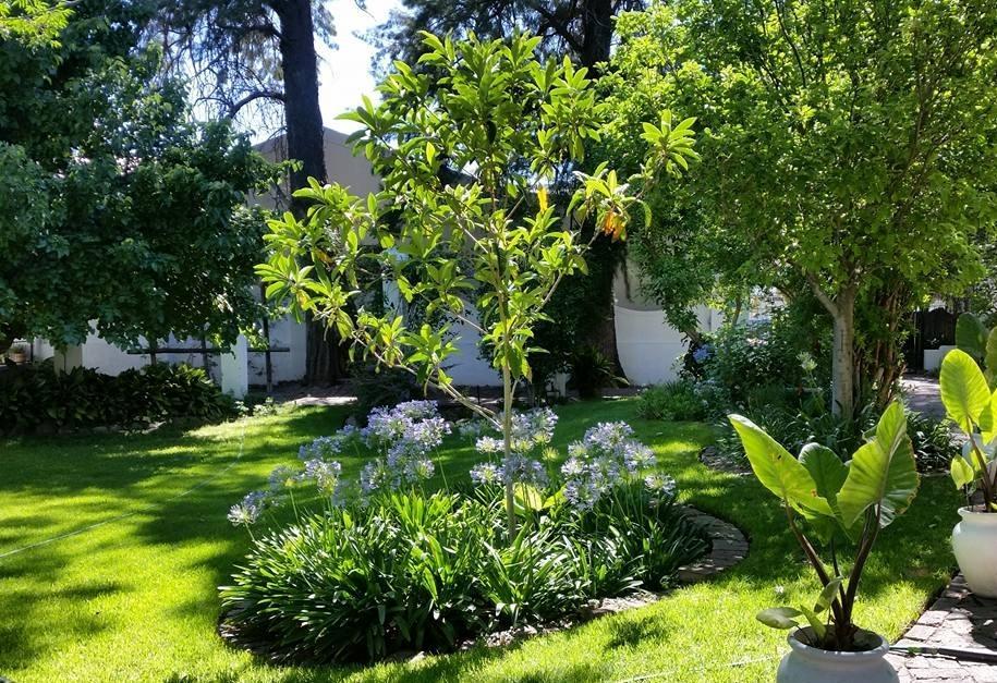 Little Green World Beaufort West Esterno foto